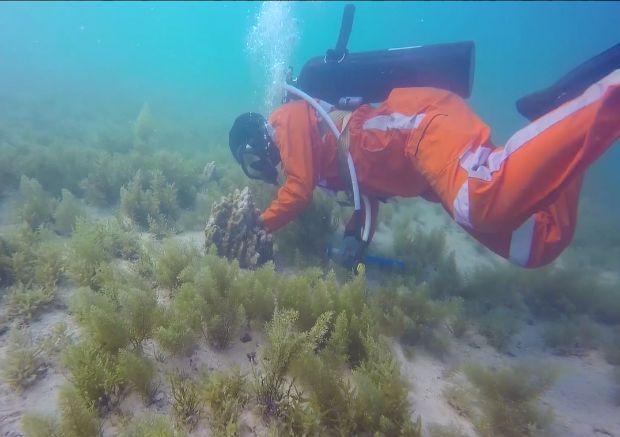 必赢亚洲·bwin(中国区)官方网站