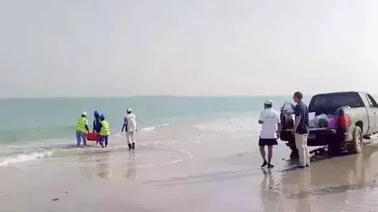 必赢亚洲·bwin(中国区)官方网站