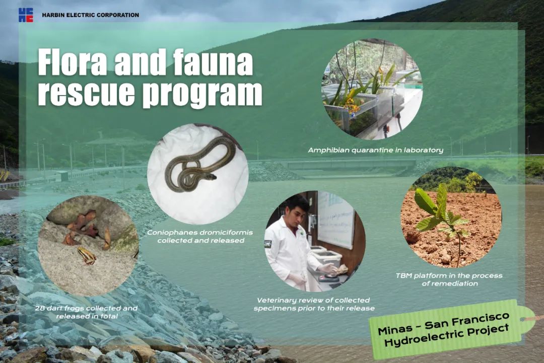 必赢亚洲·bwin(中国区)官方网站