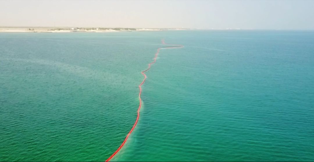 必赢亚洲·bwin(中国区)官方网站