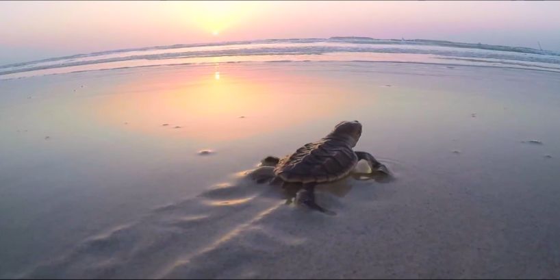 必赢亚洲·bwin(中国区)官方网站