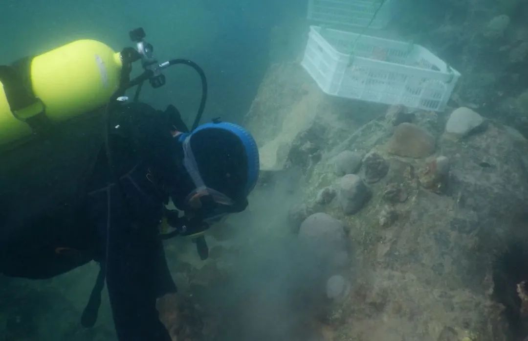 必赢亚洲·bwin(中国区)官方网站