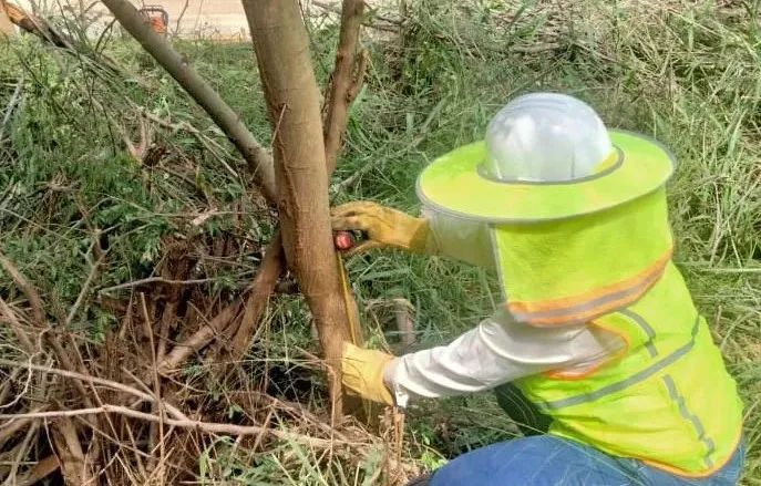 必赢亚洲·bwin(中国区)官方网站