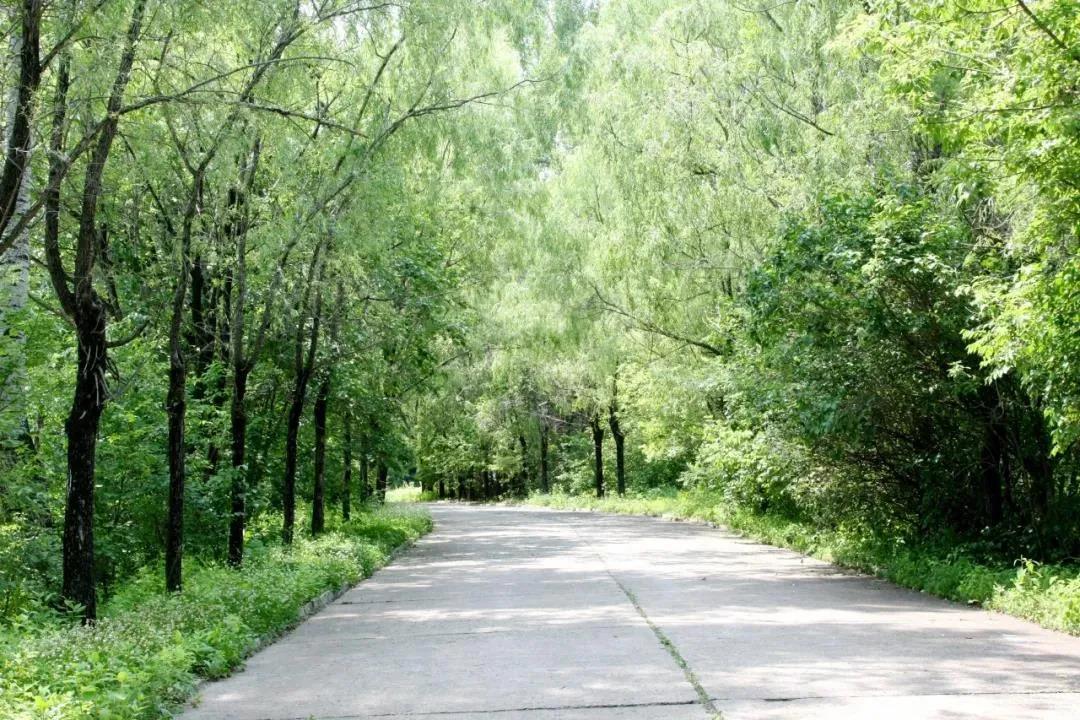 必赢亚洲·bwin(中国区)官方网站