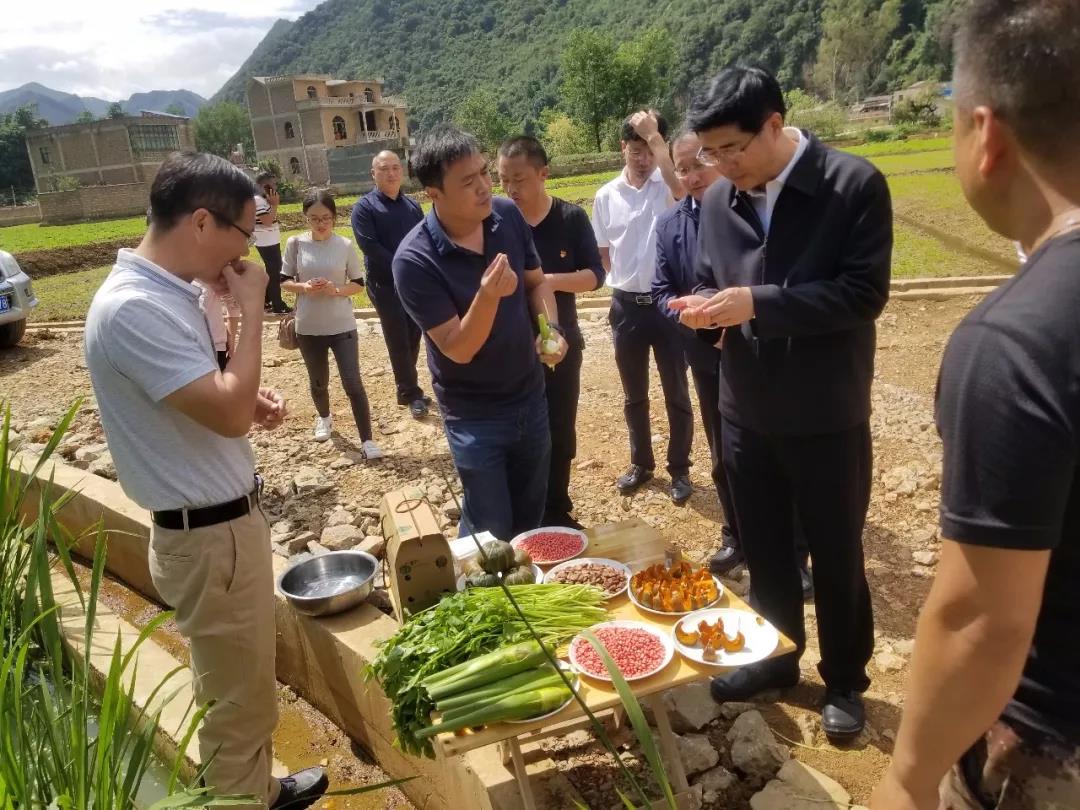 必赢亚洲·bwin(中国区)官方网站