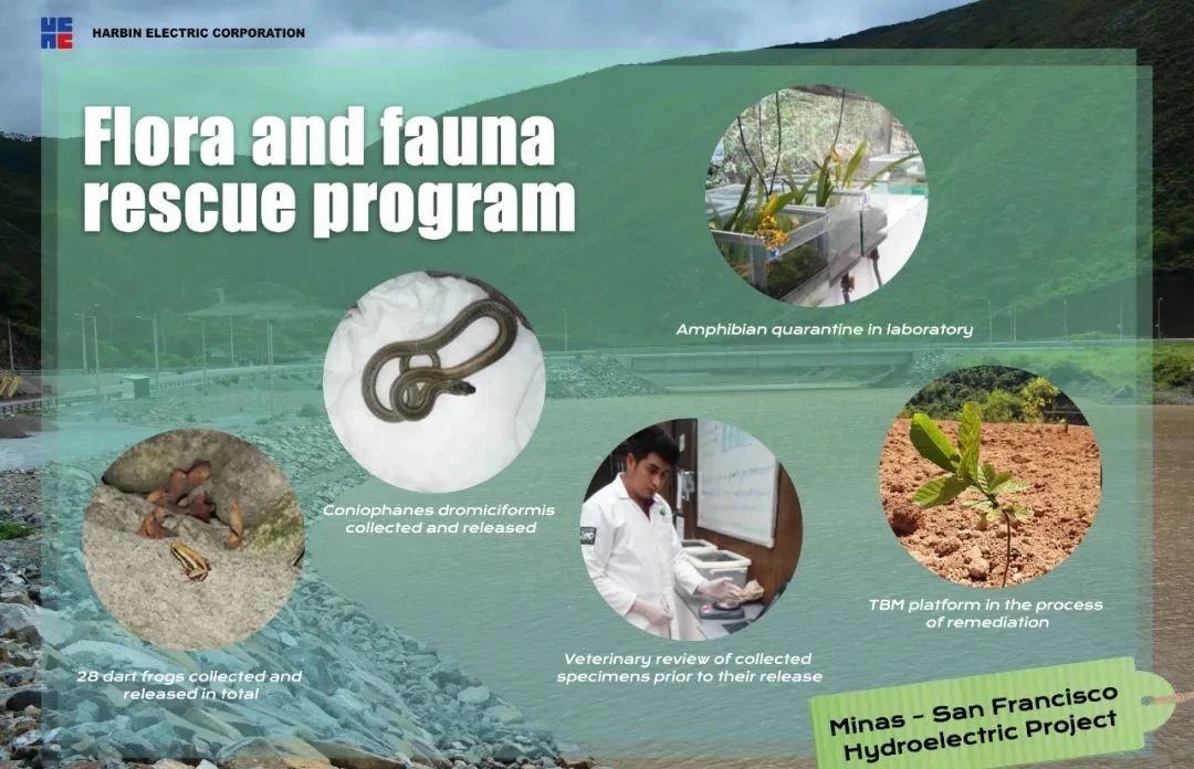 必赢亚洲·bwin(中国区)官方网站