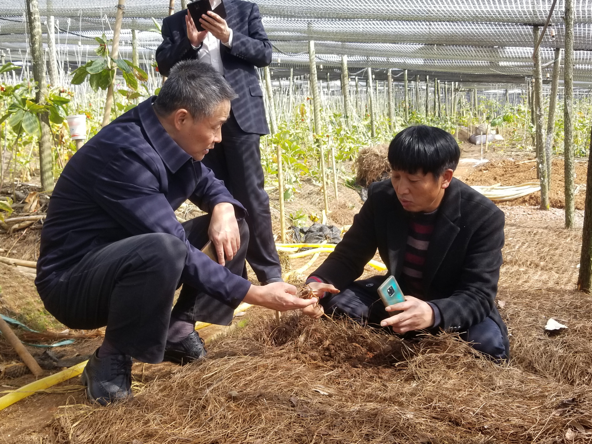 必赢亚洲·bwin(中国区)官方网站