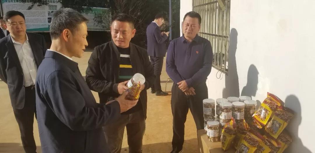 必赢亚洲·bwin(中国区)官方网站