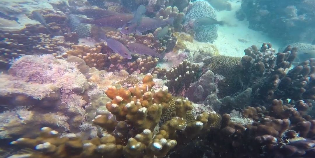 必赢亚洲·bwin(中国区)官方网站