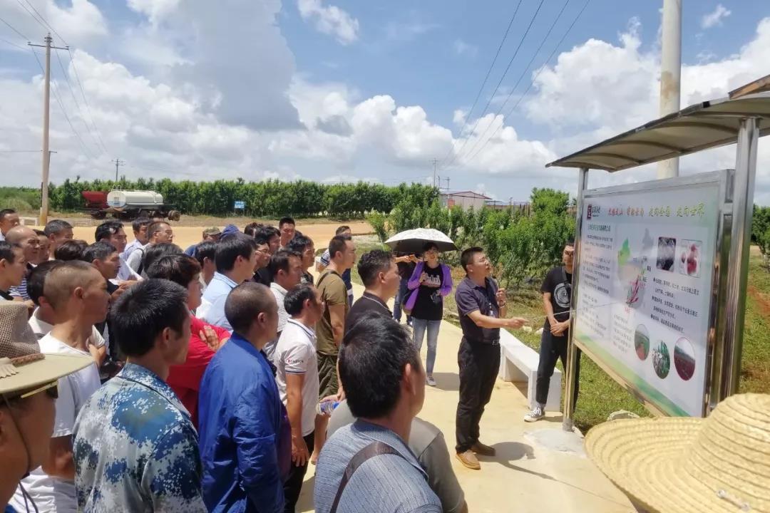 必赢亚洲·bwin(中国区)官方网站