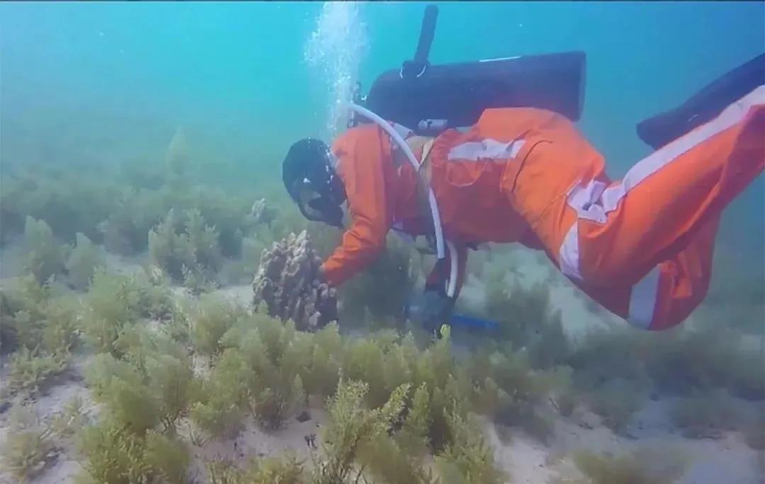 必赢亚洲·bwin(中国区)官方网站